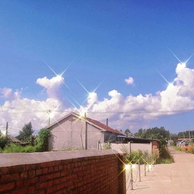 剑舞风云破解版下载